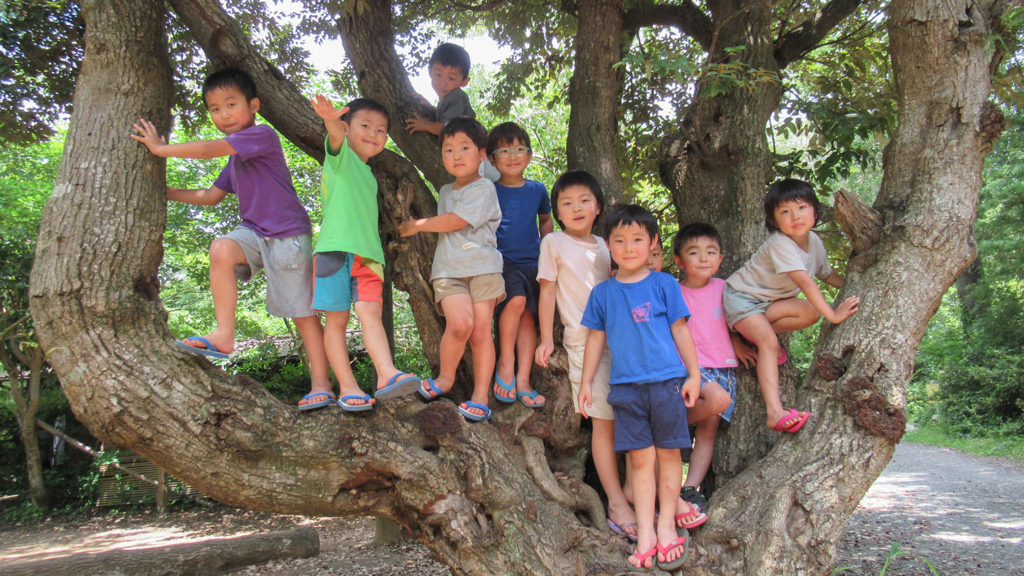 モンテッソーリ 常盤平子どもの家 保育園